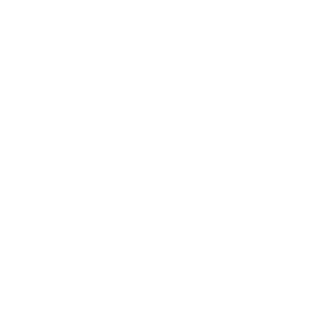 ISO 9001 Template